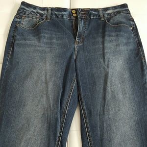 Lane Bryant Jeans